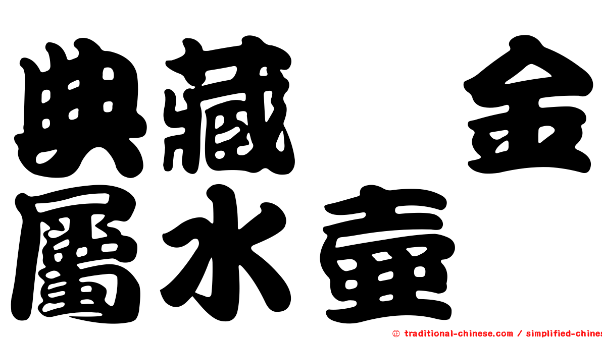 典藏鈦金屬水壺