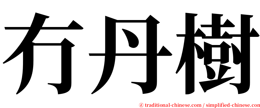 冇丹樹 serif font