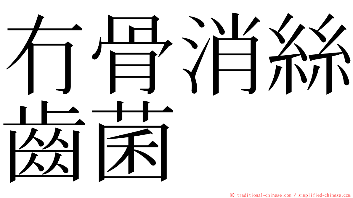 冇骨消絲齒菌 ming font