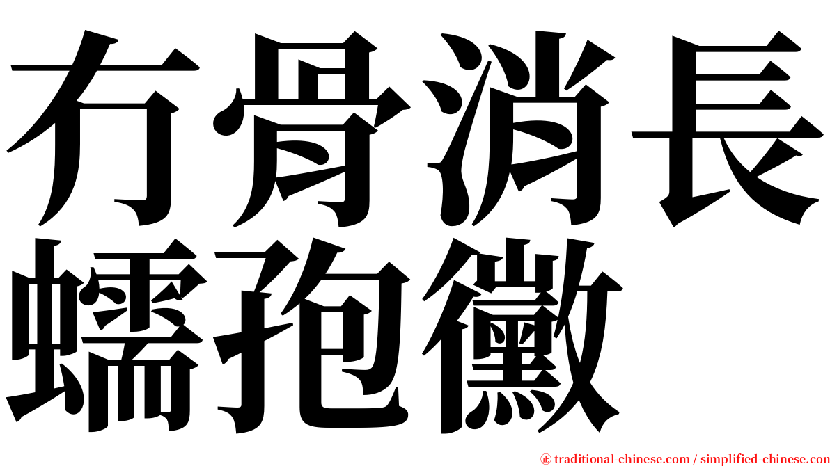 冇骨消長蠕孢黴 serif font