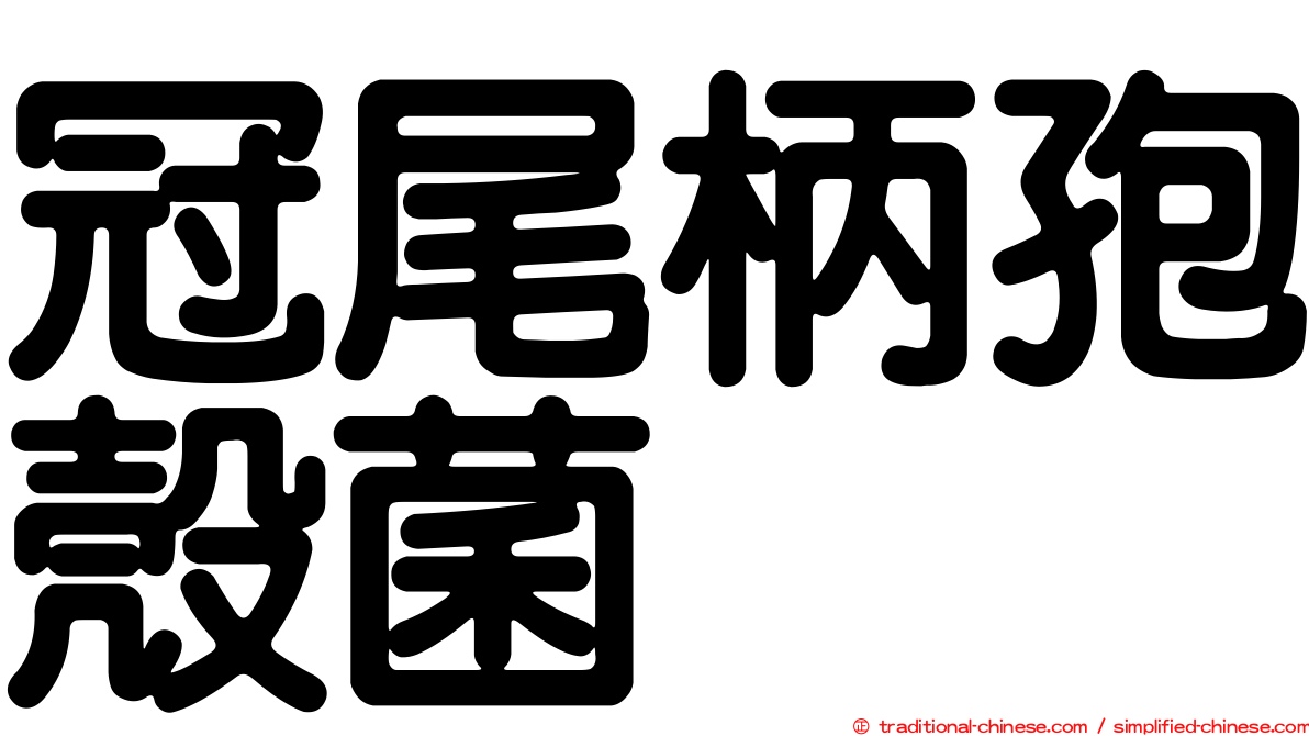 冠尾柄孢殼菌