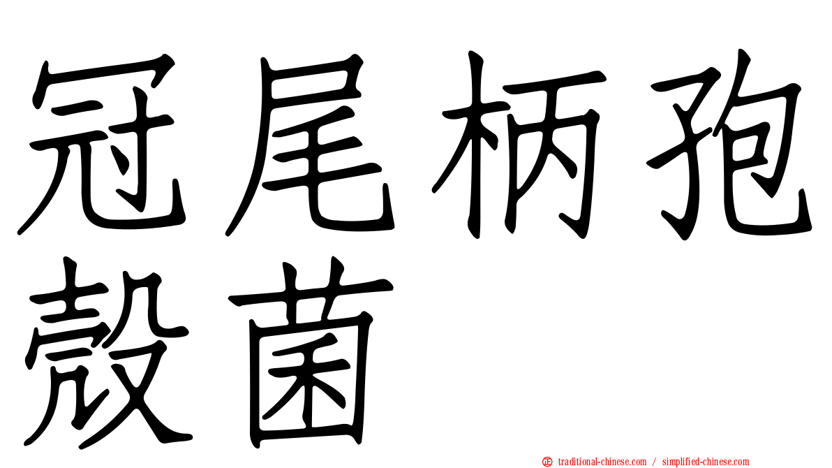 冠尾柄孢殼菌