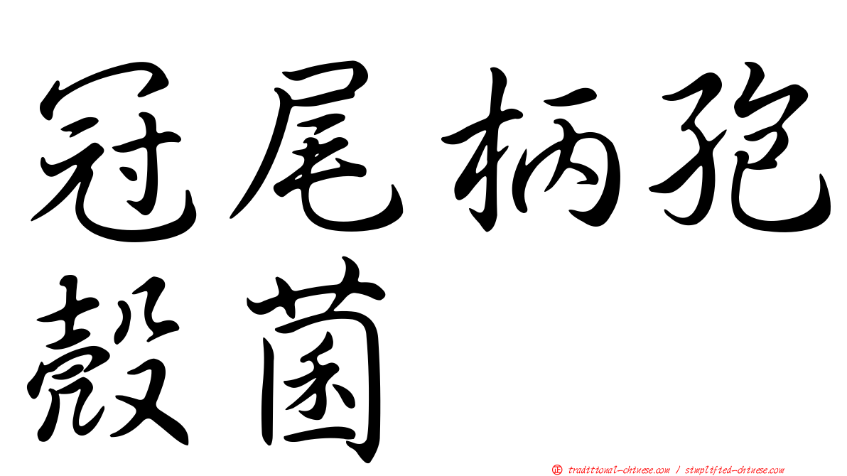冠尾柄孢殼菌