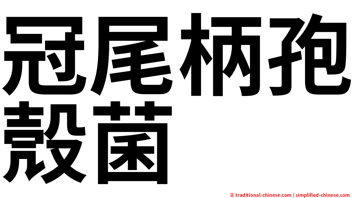 冠尾柄孢殼菌
