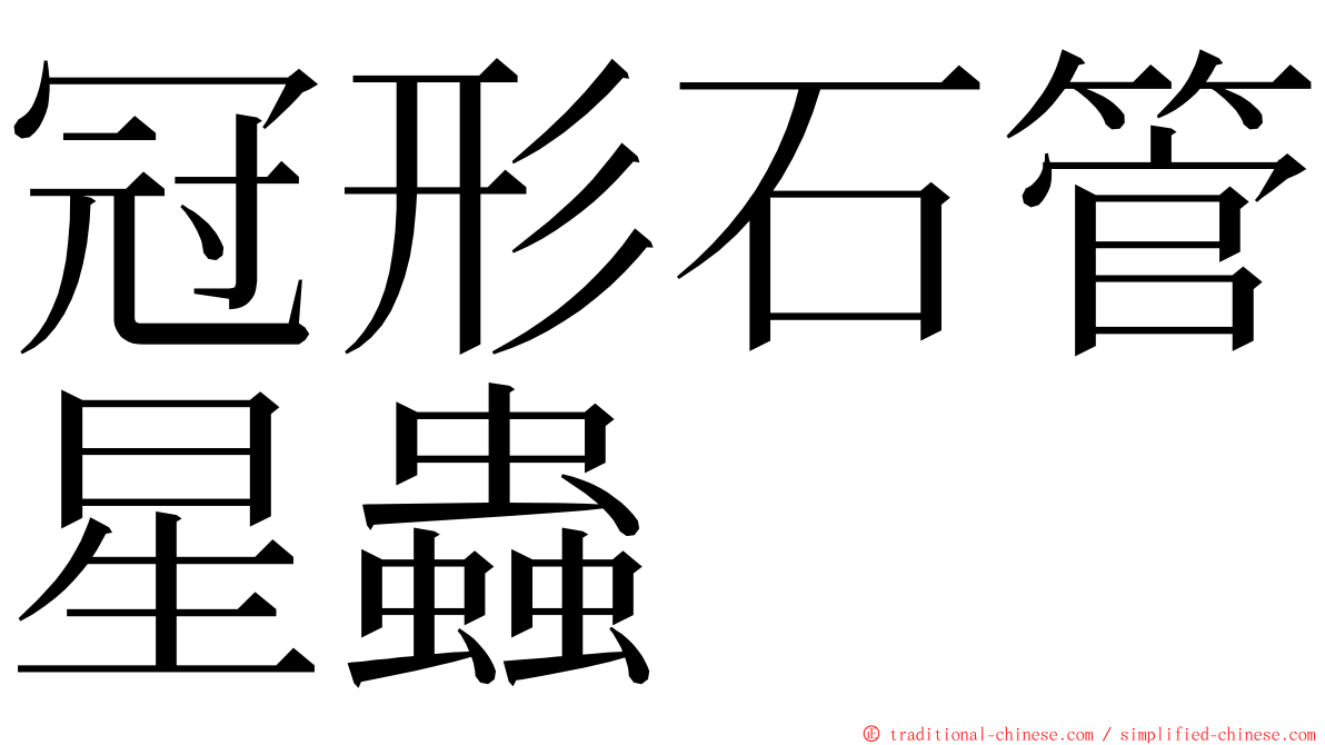 冠形石管星蟲 ming font