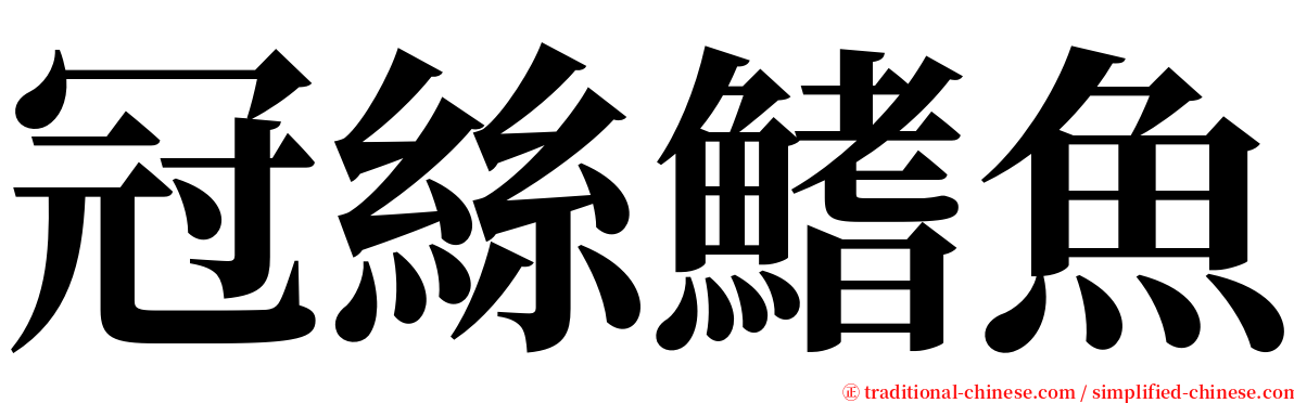 冠絲鰭魚 serif font