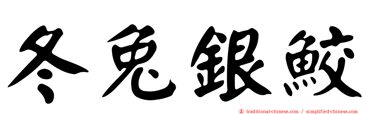 冬兔銀鮫