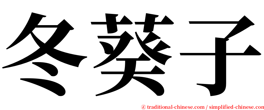 冬葵子 serif font