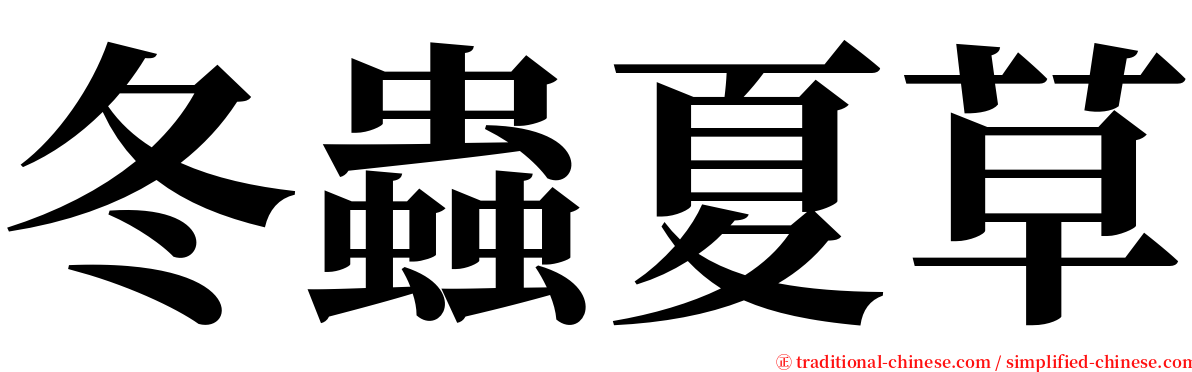 冬蟲夏草 serif font