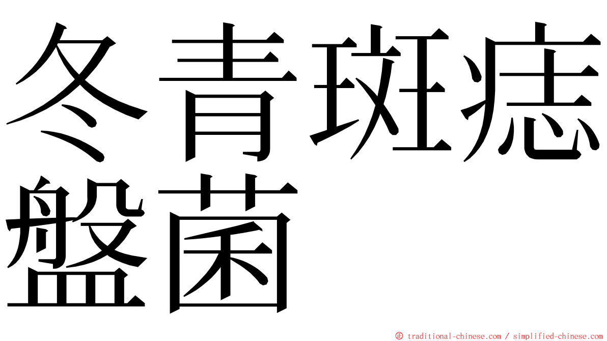 冬青斑痣盤菌 ming font