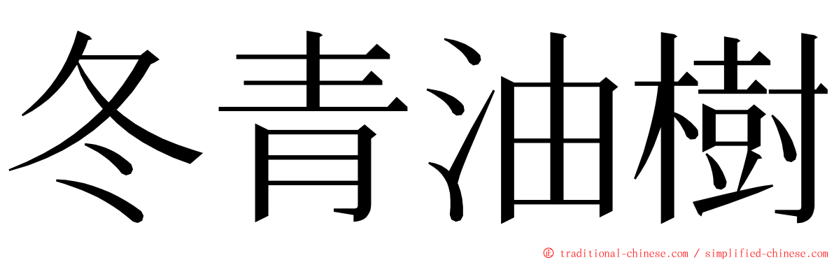 冬青油樹 ming font
