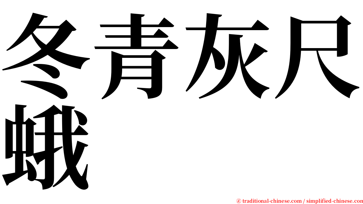 冬青灰尺蛾 serif font