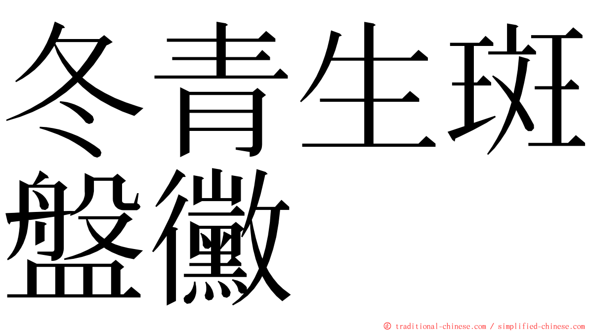 冬青生斑盤黴 ming font