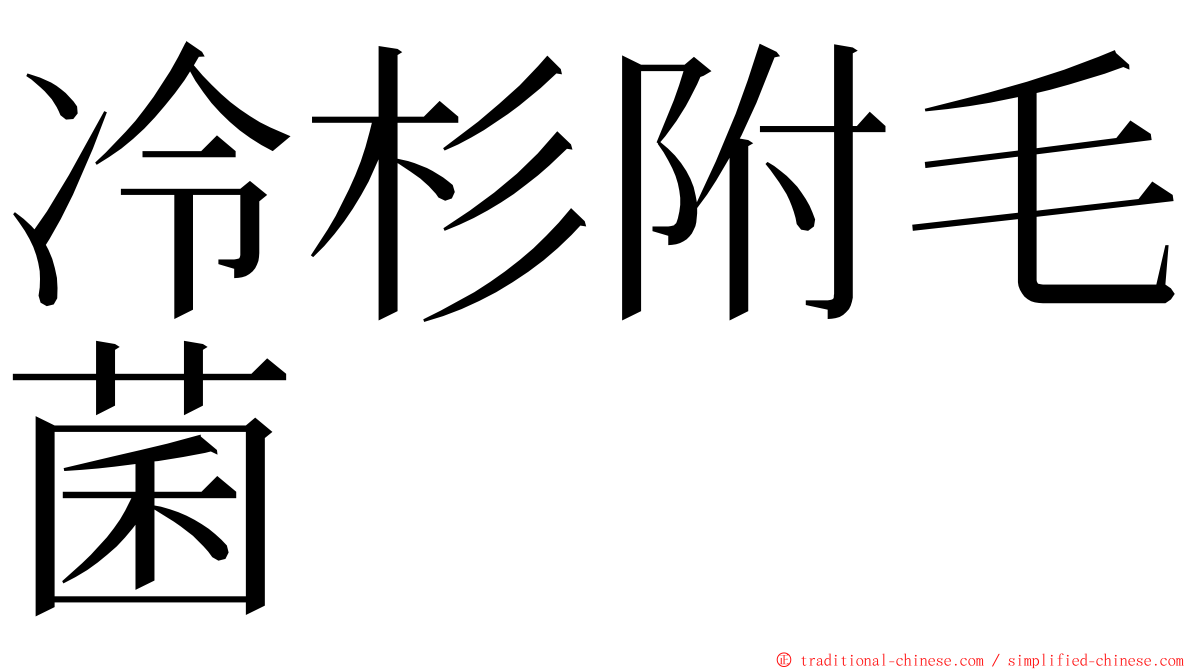 冷杉附毛菌 ming font