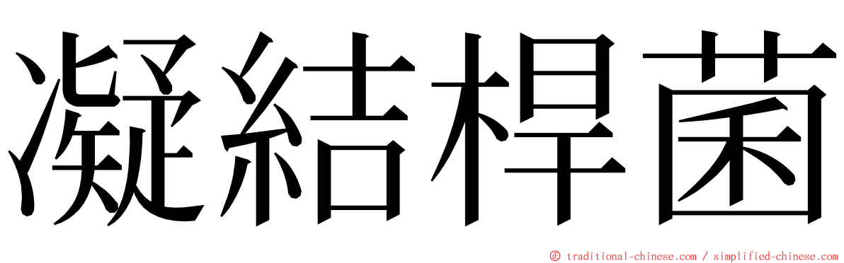 凝結桿菌 ming font