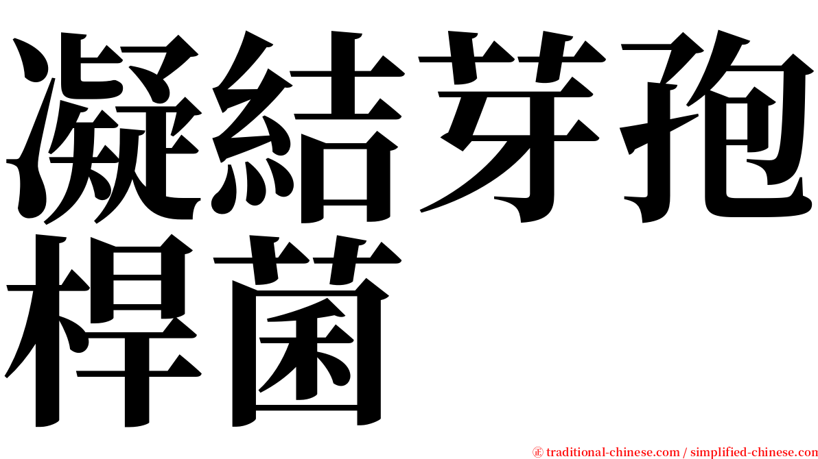 凝結芽孢桿菌 serif font