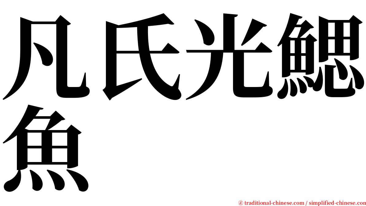 凡氏光鰓魚 serif font