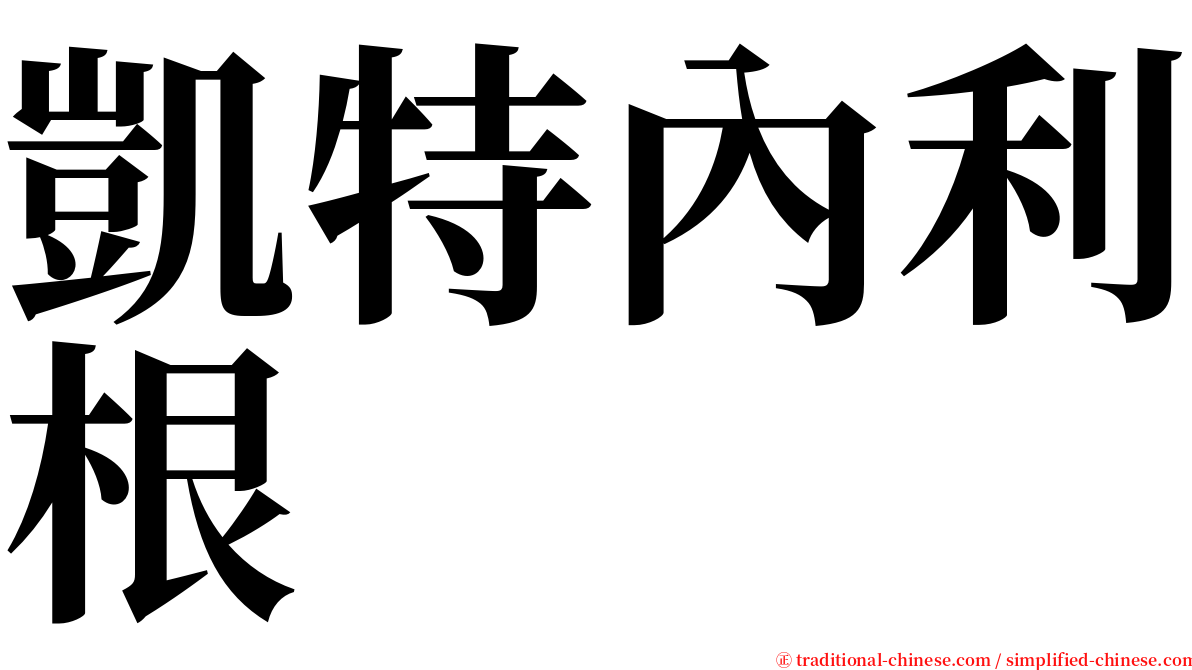 凱特內利根 serif font