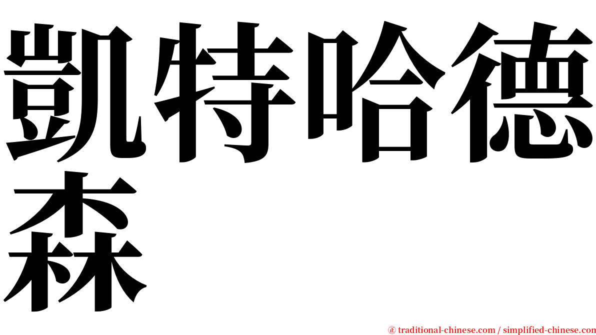 凱特哈德森 serif font