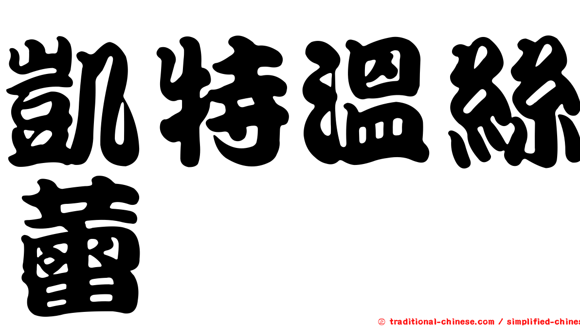 凱特溫絲蕾
