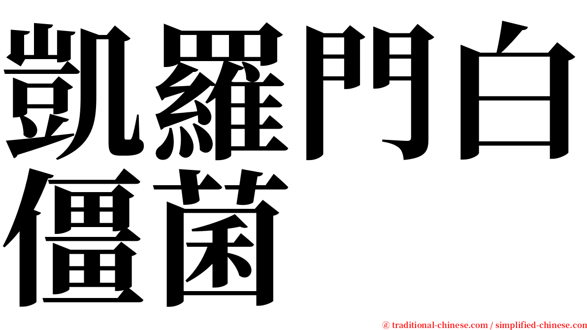 凱羅門白僵菌 serif font