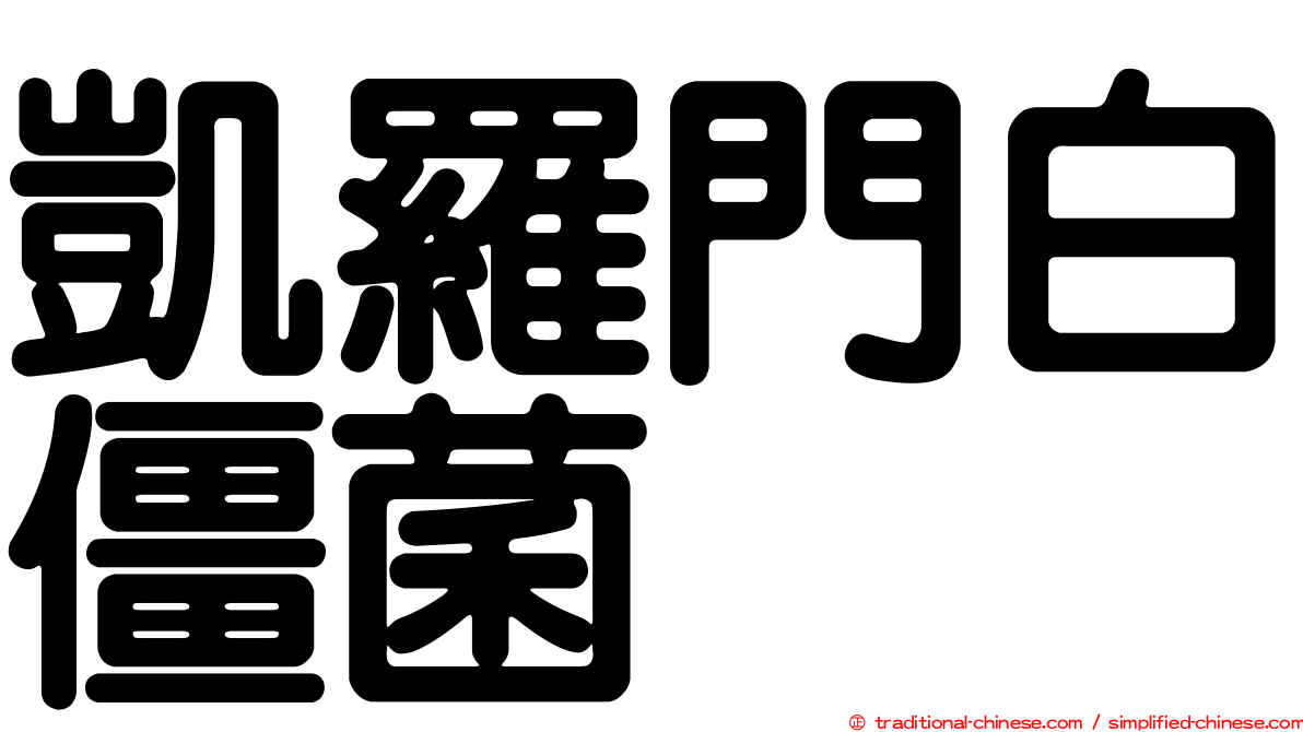 凱羅門白僵菌