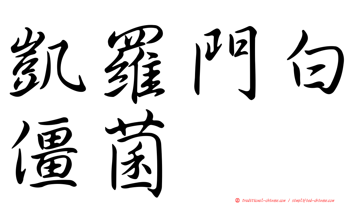 凱羅門白僵菌