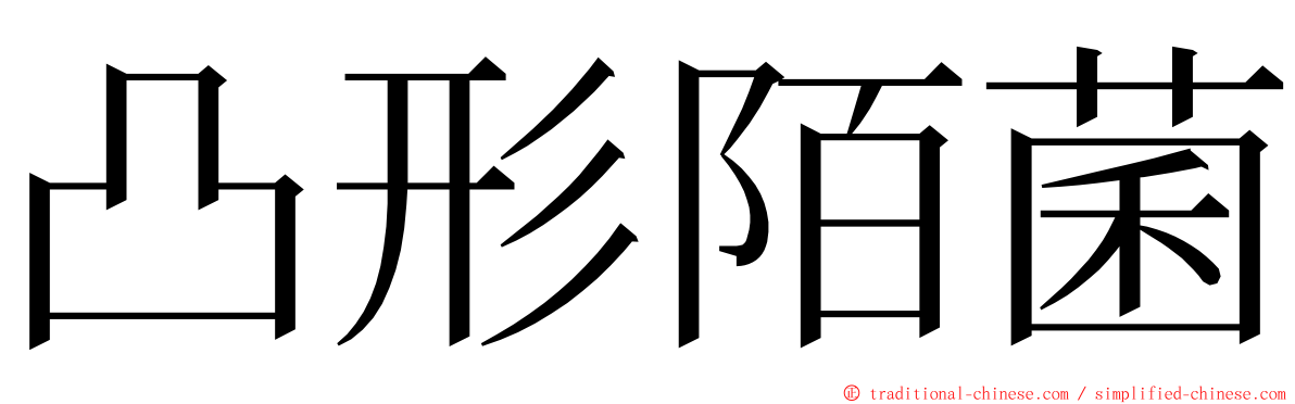 凸形陌菌 ming font