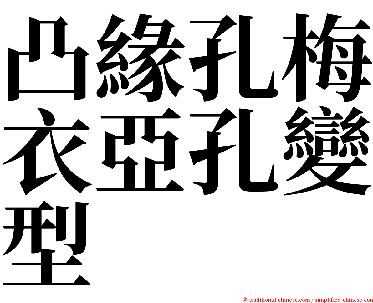 凸緣孔梅衣亞孔變型 serif font