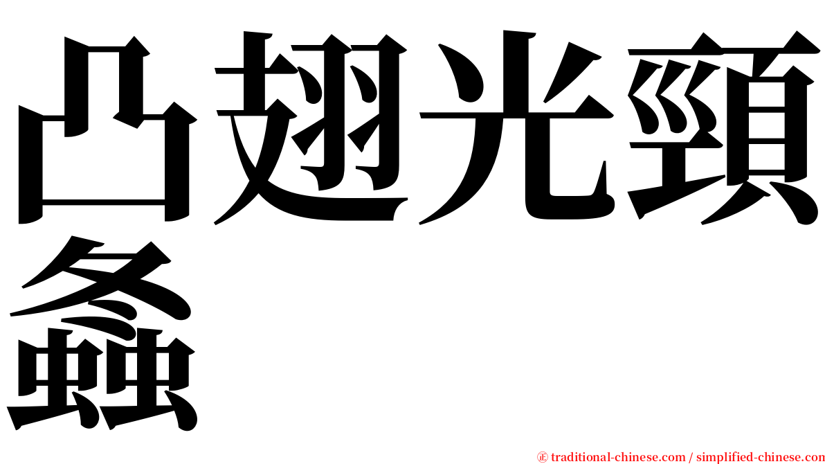 凸翅光頸螽 serif font