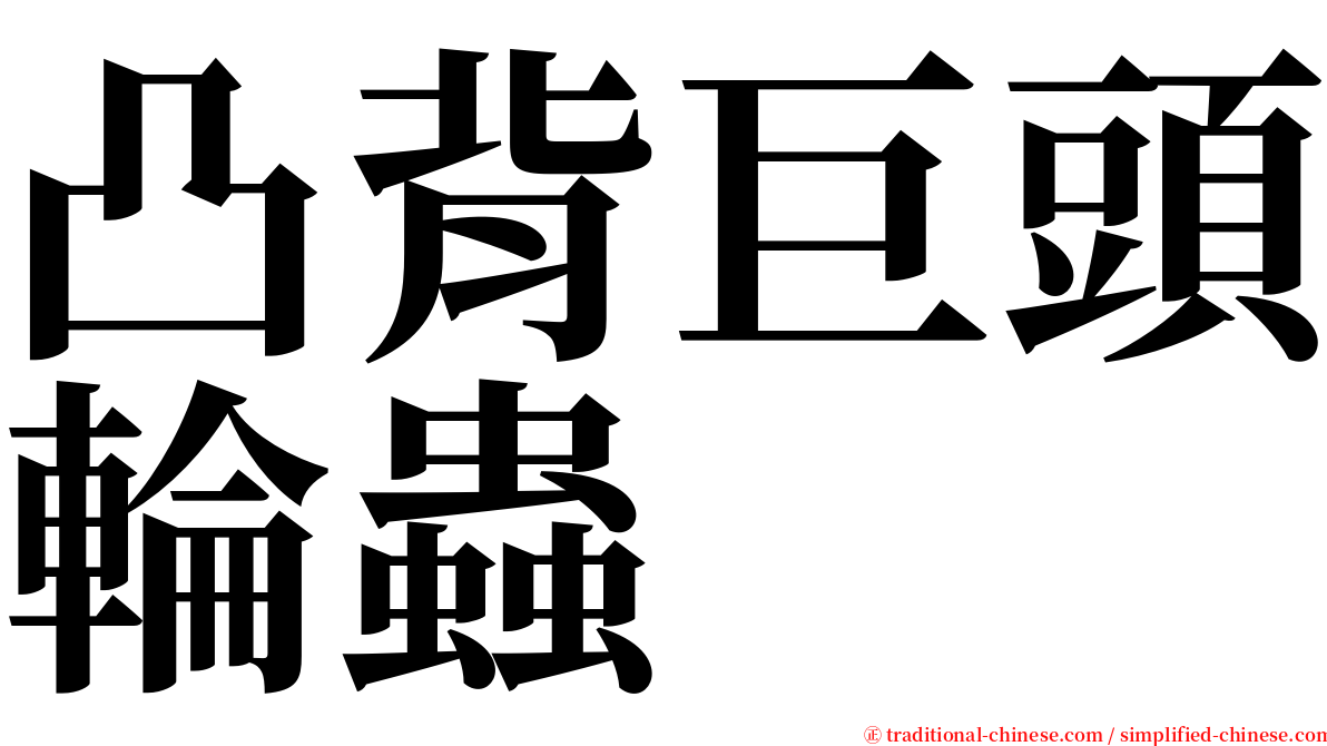 凸背巨頭輪蟲 serif font