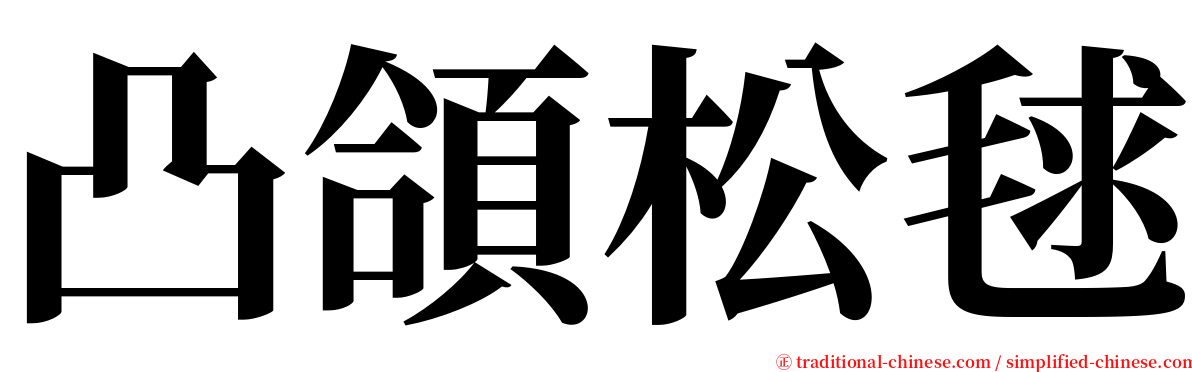 凸頜松毬 serif font