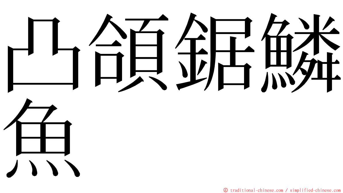 凸頜鋸鱗魚 ming font