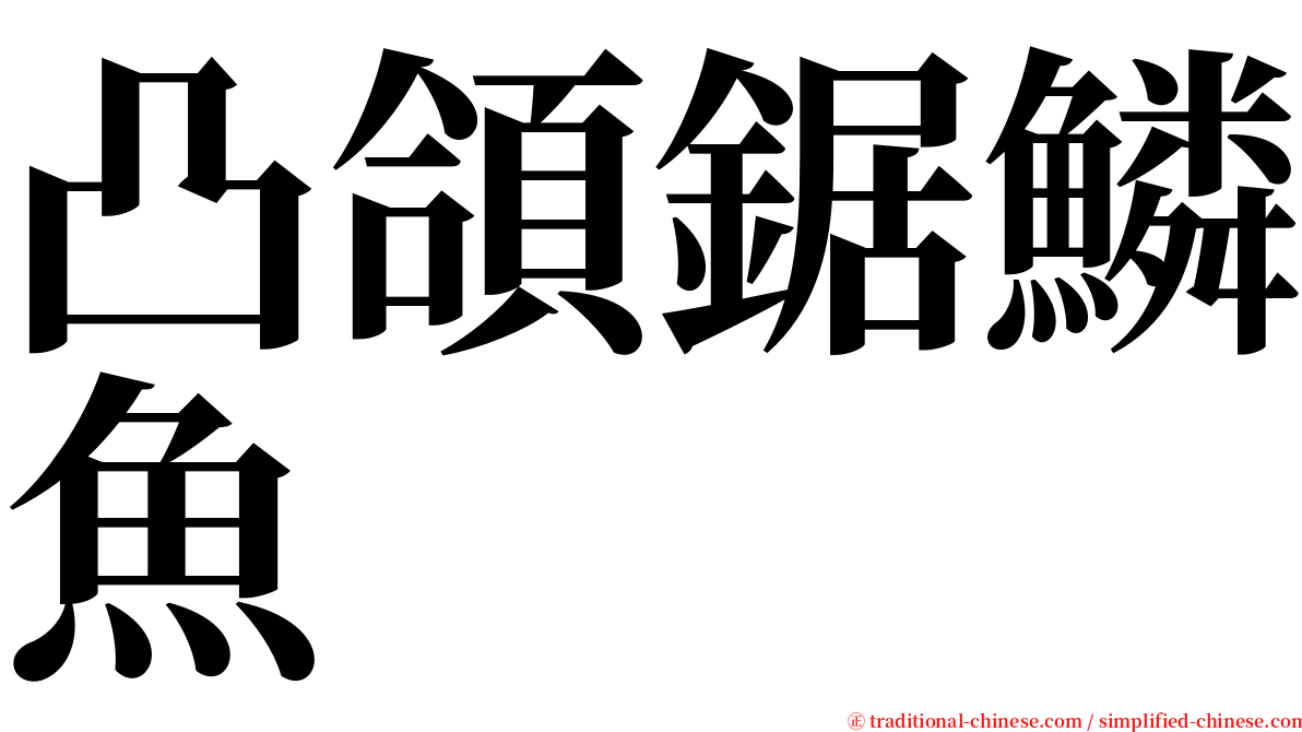 凸頜鋸鱗魚 serif font