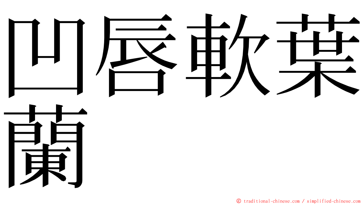 凹唇軟葉蘭 ming font