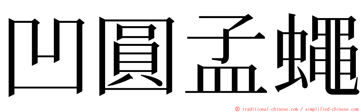 凹圓孟蠅 ming font