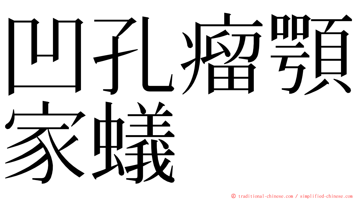 凹孔瘤顎家蟻 ming font