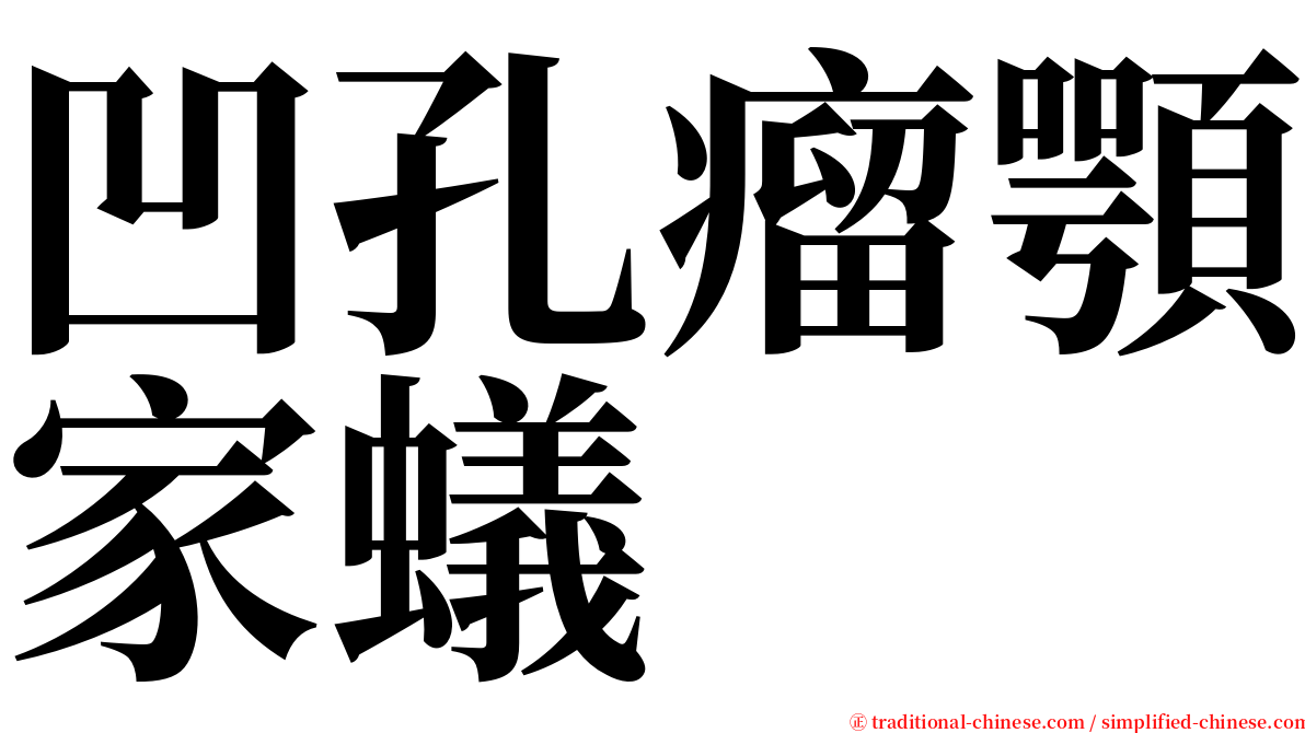 凹孔瘤顎家蟻 serif font