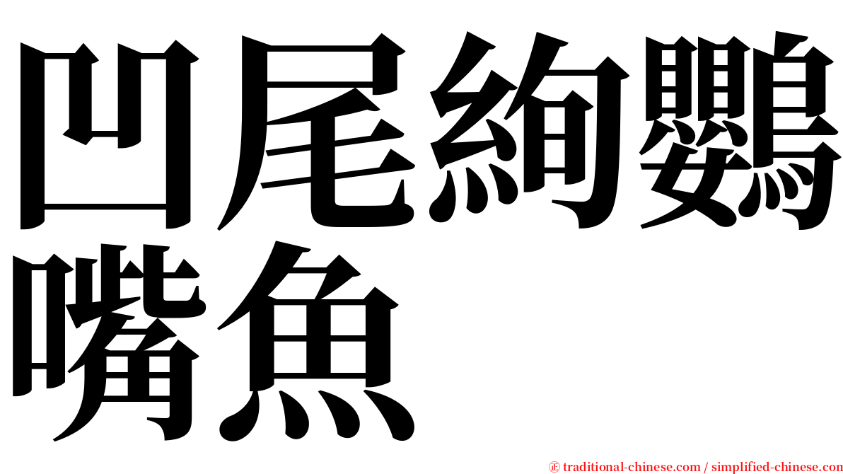 凹尾絢鸚嘴魚 serif font