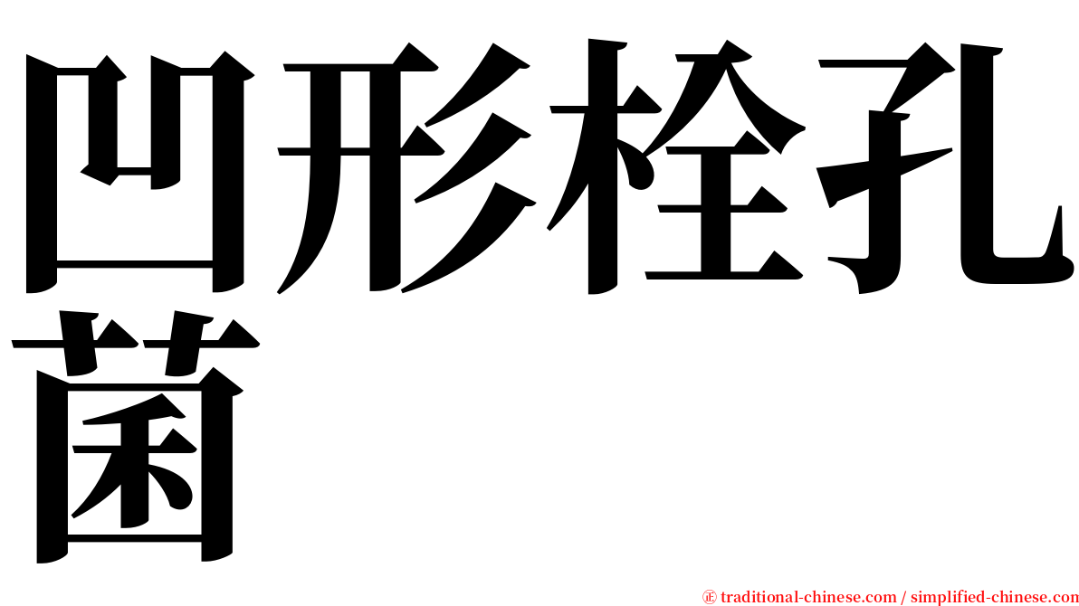 凹形栓孔菌 serif font