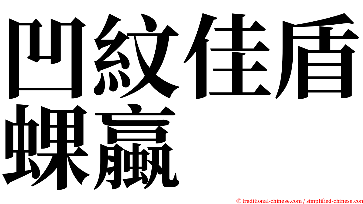 凹紋佳盾蜾蠃 serif font