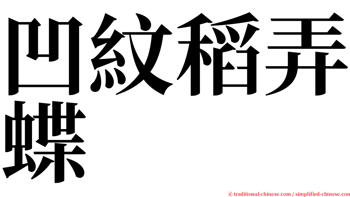 凹紋稻弄蝶 serif font