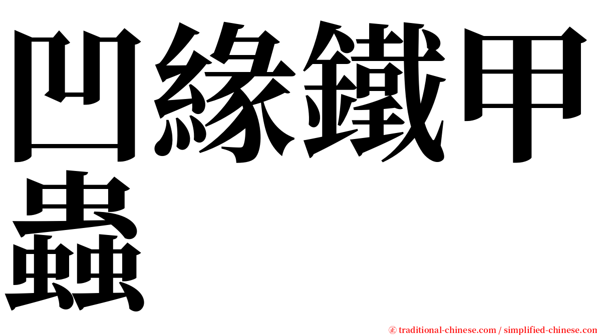 凹緣鐵甲蟲 serif font