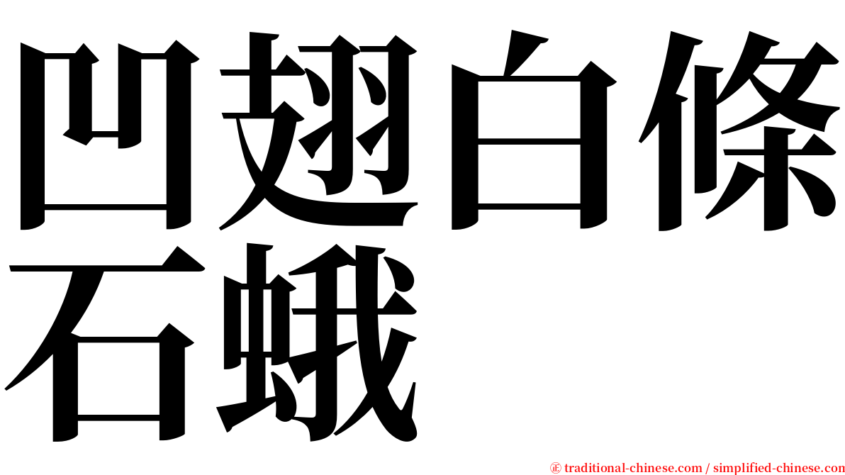 凹翅白條石蛾 serif font