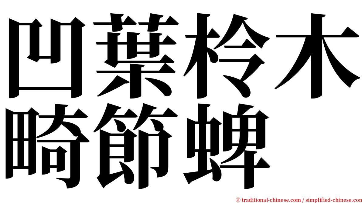 凹葉柃木畸節蜱 serif font