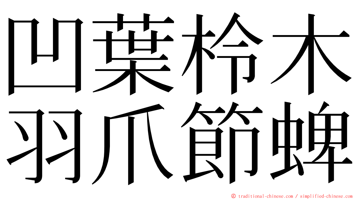 凹葉柃木羽爪節蜱 ming font