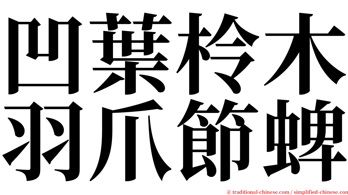 凹葉柃木羽爪節蜱 serif font