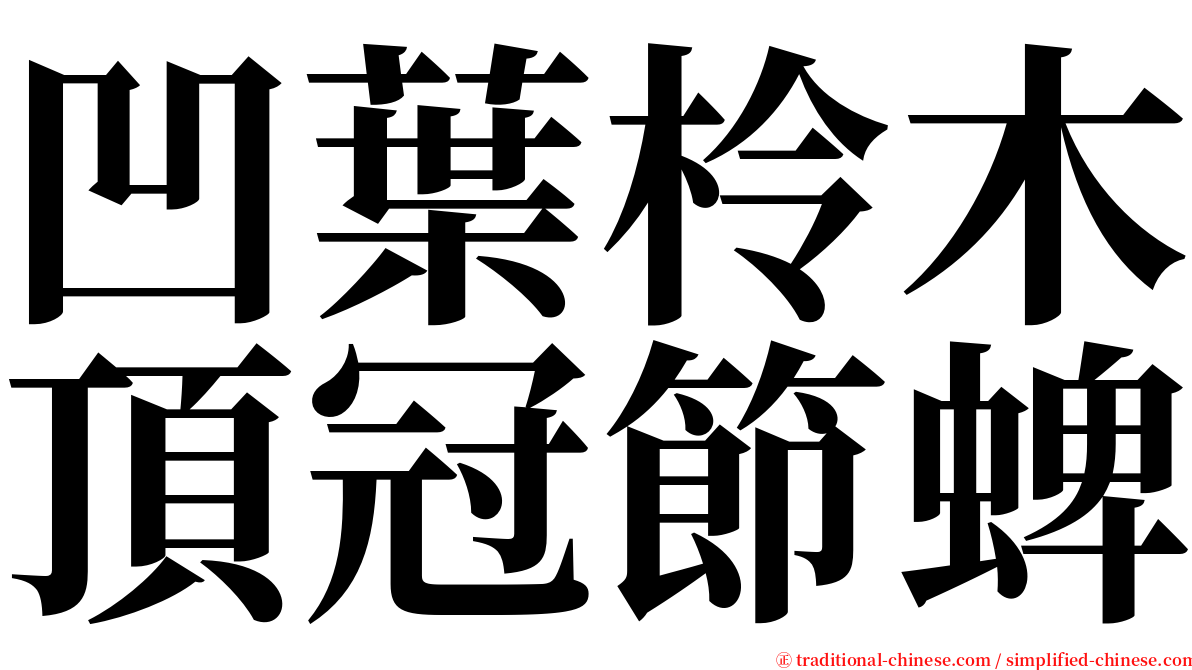 凹葉柃木頂冠節蜱 serif font