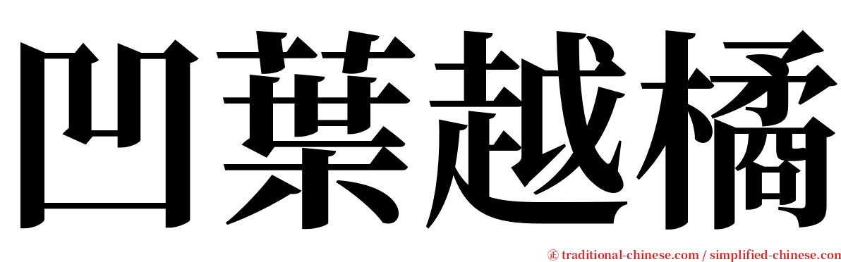 凹葉越橘 serif font