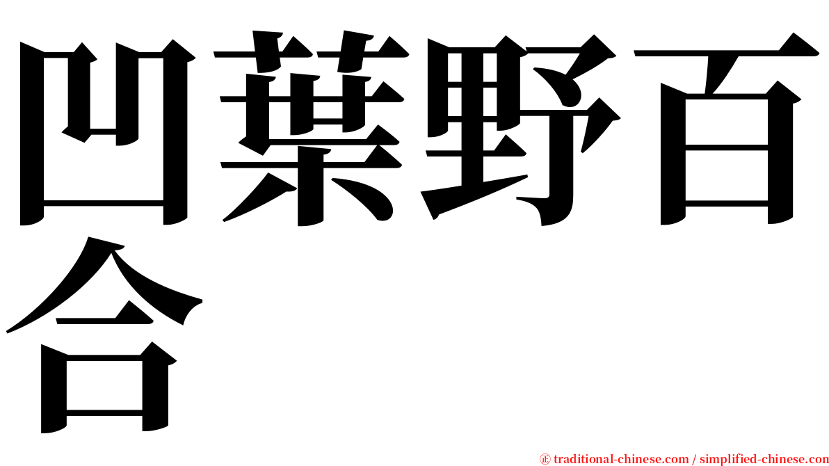 凹葉野百合 serif font